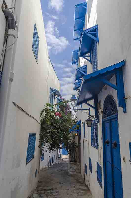 52 - Tunez - Sidi Bou Said